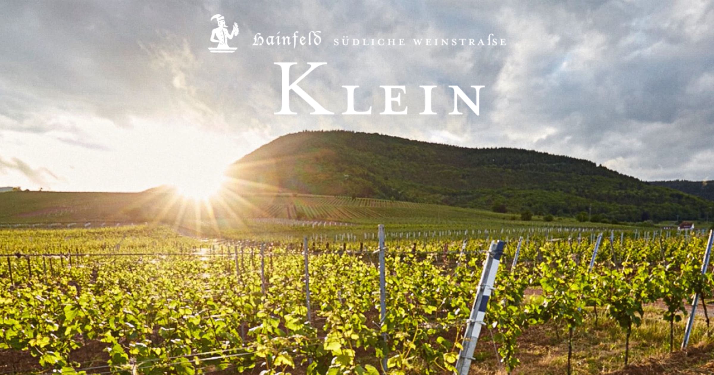 Vinothek Weingut Klein